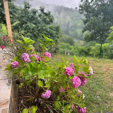 Hotel Forest Garden 4*