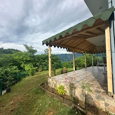 Hotel Forest Garden 4*