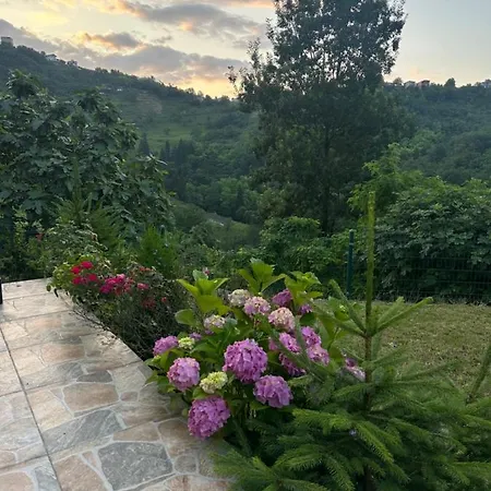 Hotel Forest Garden Trabzon